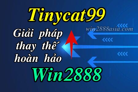 Win2888 sập? Cách vào Win2888 bằng Tinycat99 thay thế trong phốt nhà cái
